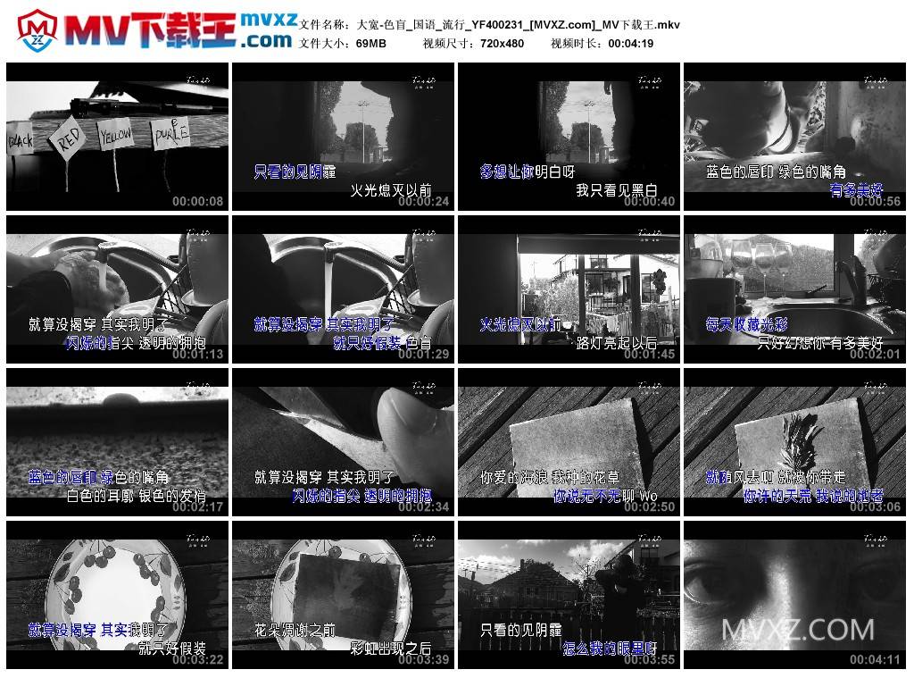 大宽-色盲_国语_流行_YF400231